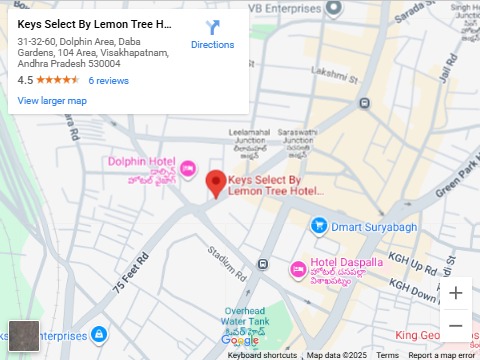 google map image